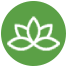 Lotus Clinician Well-Being